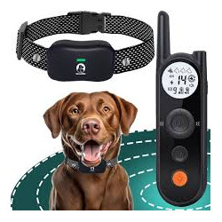 laisse et collier...