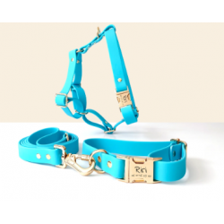 Laisse et collier connecté...